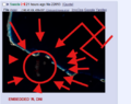 Thumbnail for version as of 23:15, 26 June 2026