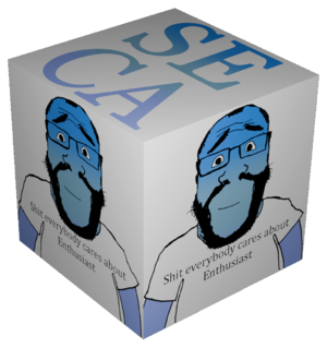 SECA cube.png